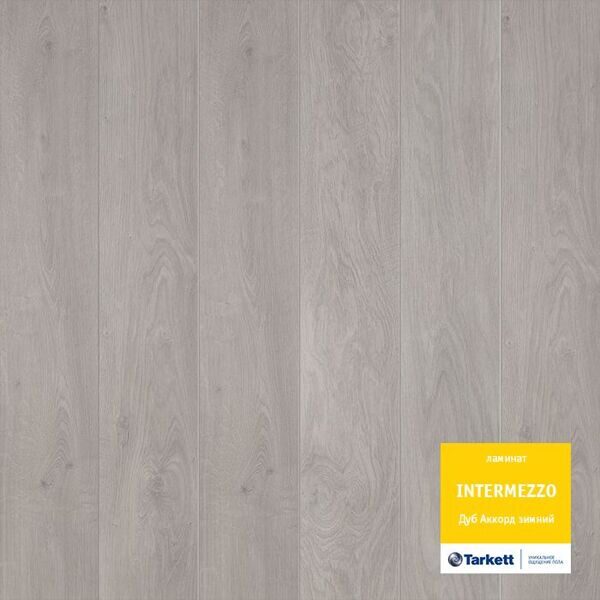 INTERMEZZO ДУБ АККОРД ЗИМНИЙ